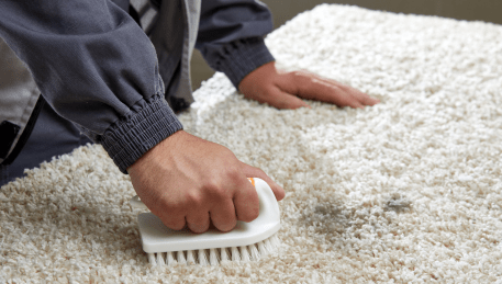 Professional Rug Cleaning Chum Creek