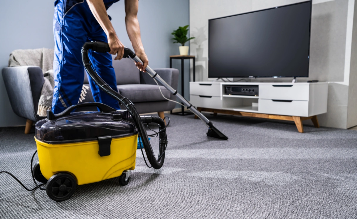 Extract Rug Cleaning Chum Creek Contact Office